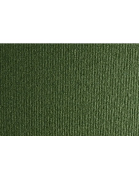 CARTULINA 50x70 FABRI. 220g LR VERD. P/2