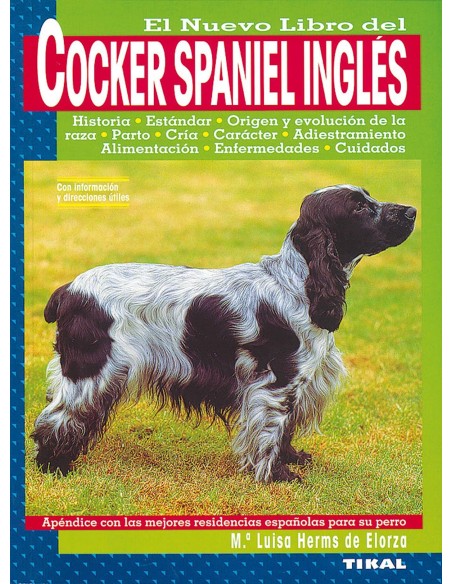 Cocker spaniel ingles