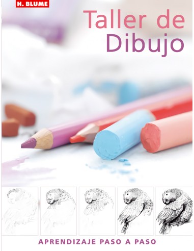 Taller de dibujo