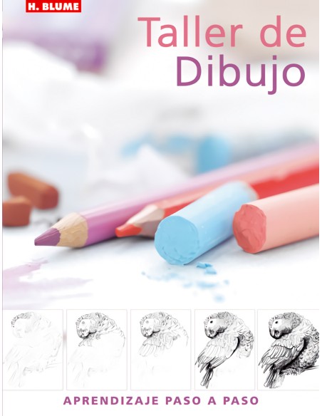 Taller de dibujo