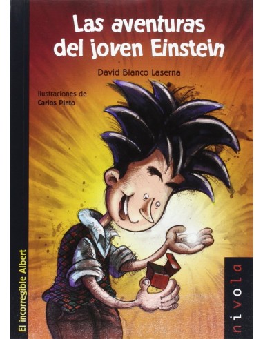 Las aventuras del joven Einstein