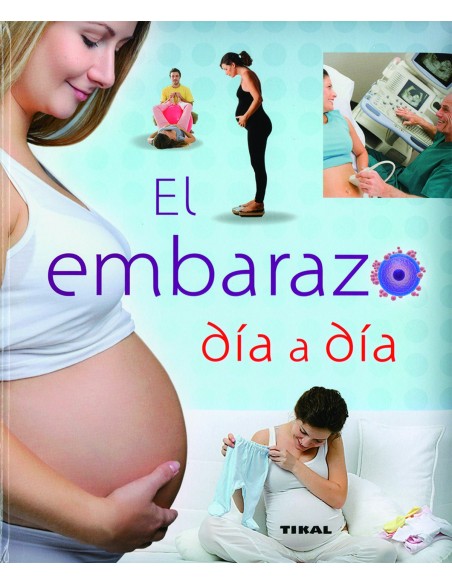 EL EMBARAZO DIA A DIA