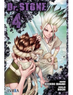 DRSTONE 4
