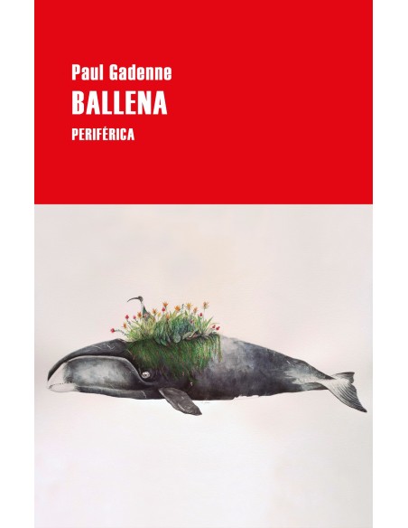 Ballena