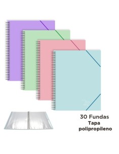 C 4 CARPETA 30 FUNDAS PASTEL C GOMA REGALO SEPARADORES EXTRAIBLES