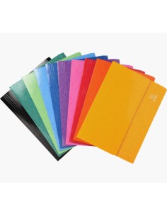 6520Z carpeta Caja de cartón Multicolor A4