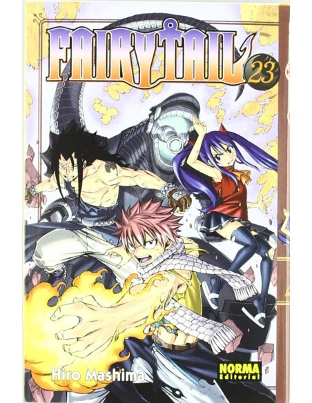 FAIRY TAIL 23