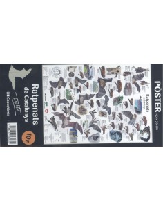 Ratpenats de Catalunya Poster