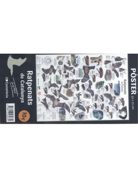 Ratpenats de Catalunya Poster