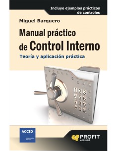 Manual Practico De Control Interno