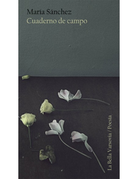 Cuaderno de campo