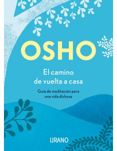 El camino de vuelta a casa