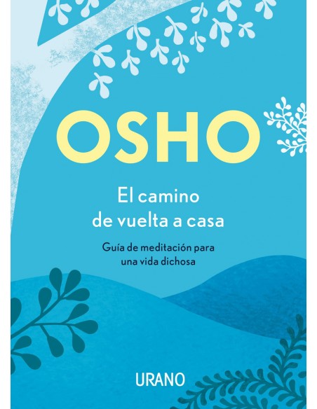 El camino de vuelta a casa