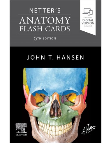 Netter s Anatomy Flash Cards
