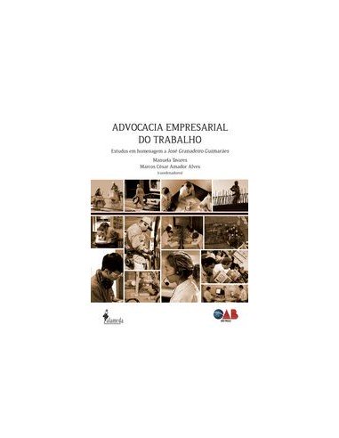 ADVOCACIA EMPRESARIAL DO TRABALHO ESTUDOS EM HOMENAGEM A JO