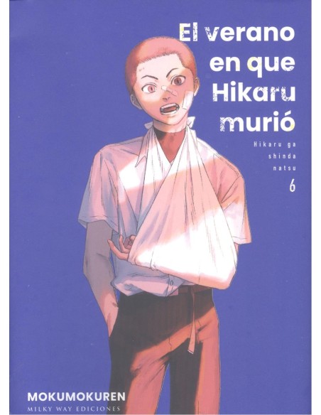 VERANO EN QUE HIKARU MURIO EL N 06