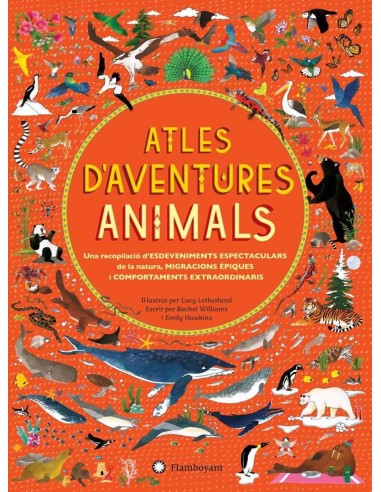 ATLES DAVENTURES AMIMALS