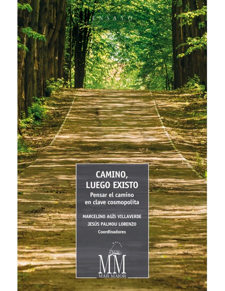 CAMINO LUEGO EXISTO