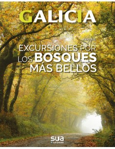 EXCURSIONES A LOS BOSQUES MAS BELLOS