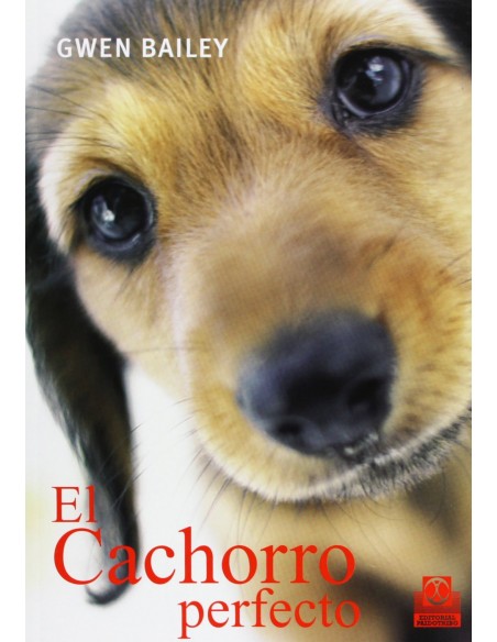 Cachorro perfecto El Color