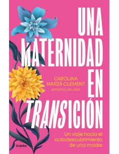Una maternidad en transicion