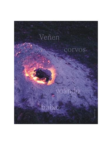 VENEN CORVOS VOANDO BAIXO