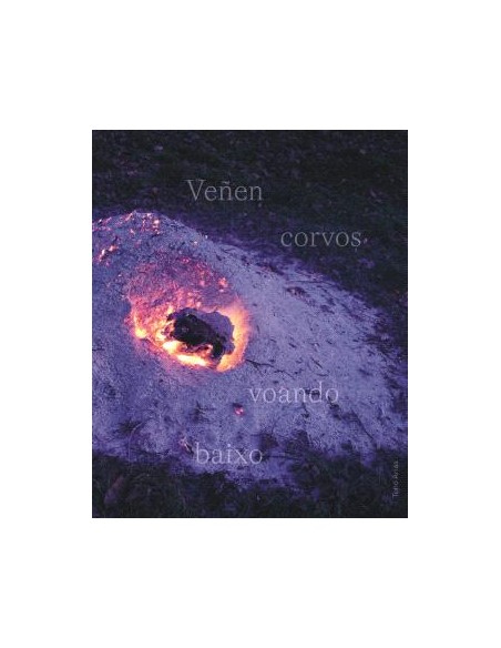 VENEN CORVOS VOANDO BAIXO