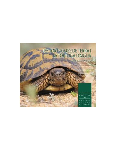 Les tortugues de terra i la tortuga d aigua a les Illes Balears