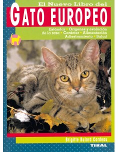 Gato europeo