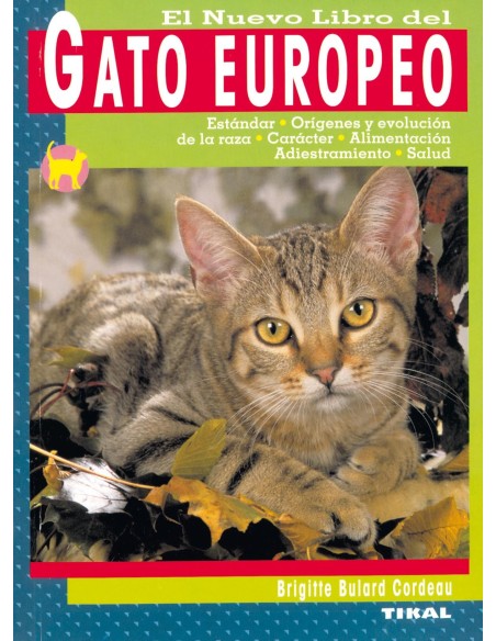 Gato europeo