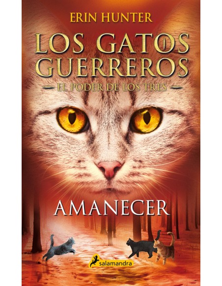 Amanecer Los Gatos Guerreros El Poder de los Tres 6