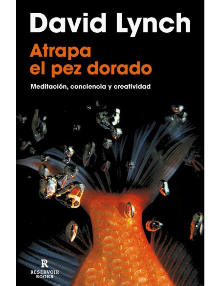 Atrapa el pez dorado