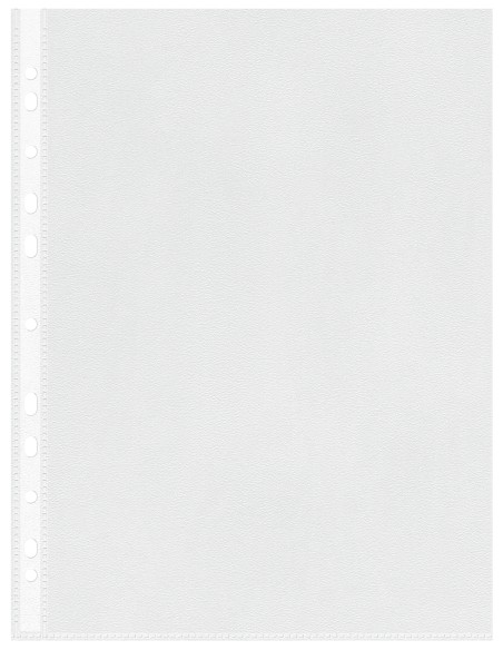 13089 protector de hojas 210 x 297 mm (A4) Polipropileno (PP) 100 pieza(s)