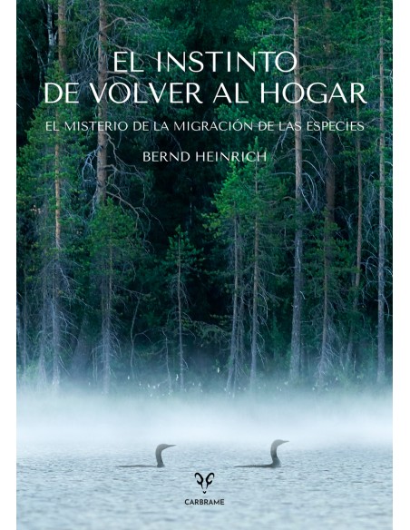 El instinto de volver al hogar