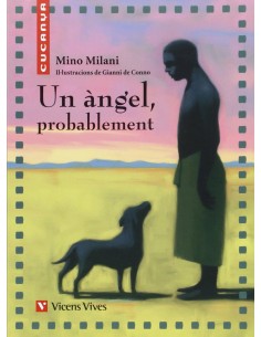 Un Angel Probablement Material Auxiliar