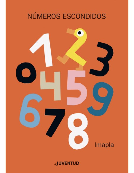 NUMEROS ESCONDIDOS