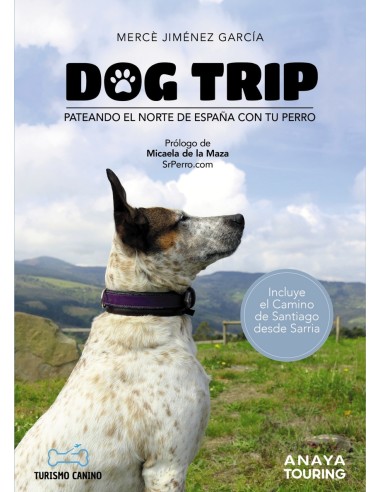 Dog trip Pateando el norte de Espana con tu perro