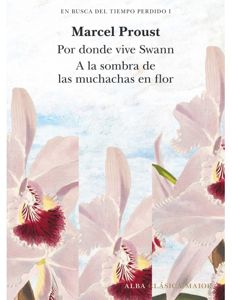 En busca del tiempo perdido vol 1