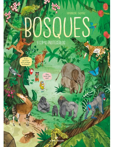 Bosques y como protegerlos