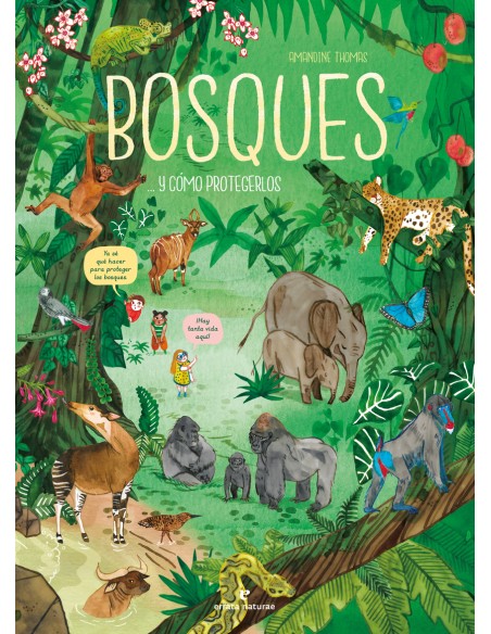 Bosques y como protegerlos
