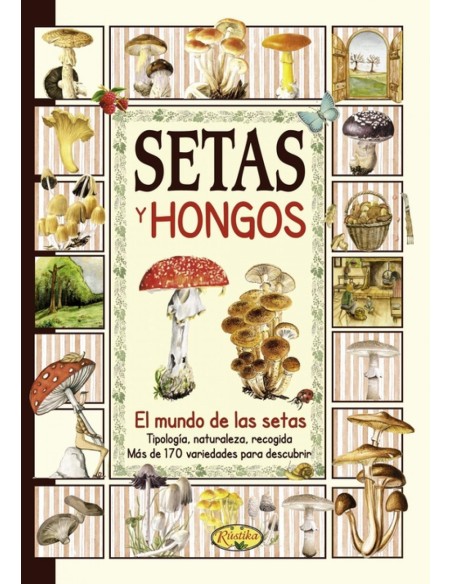 Setas y hongos