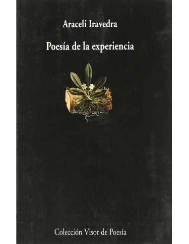 Poesia de la experiencia