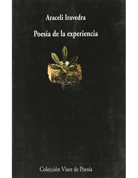 Poesia de la experiencia