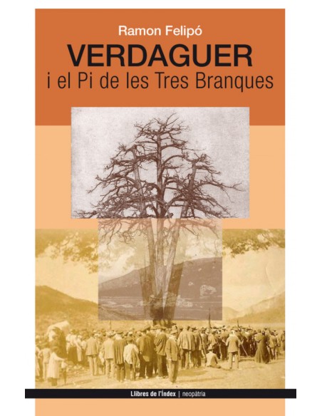 Verdaguer i el Pi de les Tres Branques