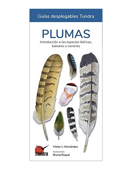 DESPLEGABLE PLUMAS