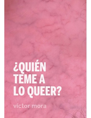 Quien teme a lo queer