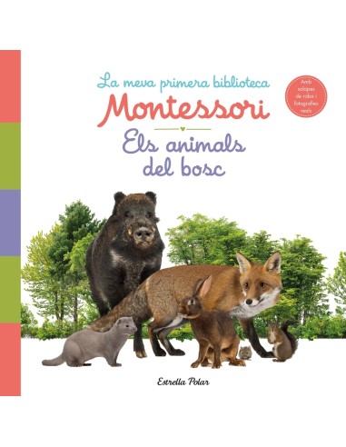 Els animals del bosc La meva primera biblioteca Montessori