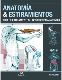 ANATOMIA ampESTIRAMIENTOS Guia de estiramientos Descripcion anatomica Color