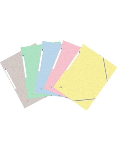 Paq 10 carpeta carton gomas y solapas A4 colores tendencia