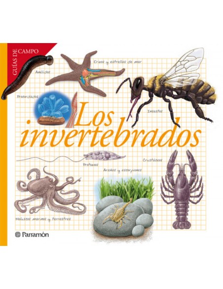 Los invertebrados